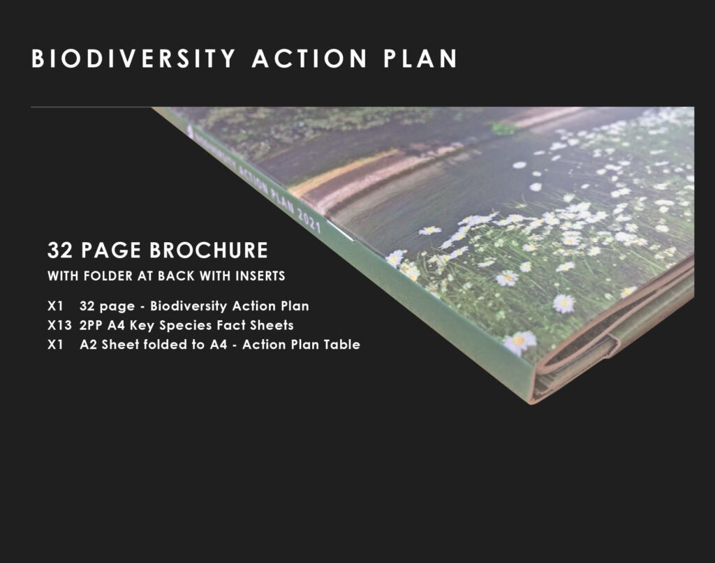 Biodiversity Action Plan